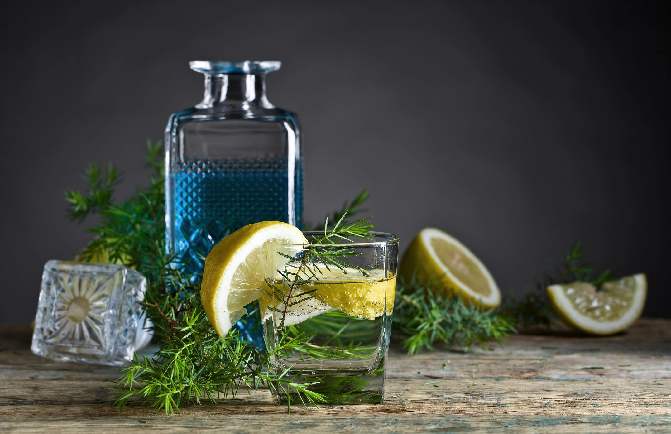 Refreshing gin and tonic served with citrus